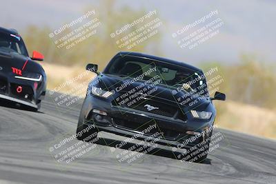 media/Mar-30-2025-Pro Autosports (Sun) [[34ff8f16e0]]/5-Green Group/Session 2 (Turn 7)/